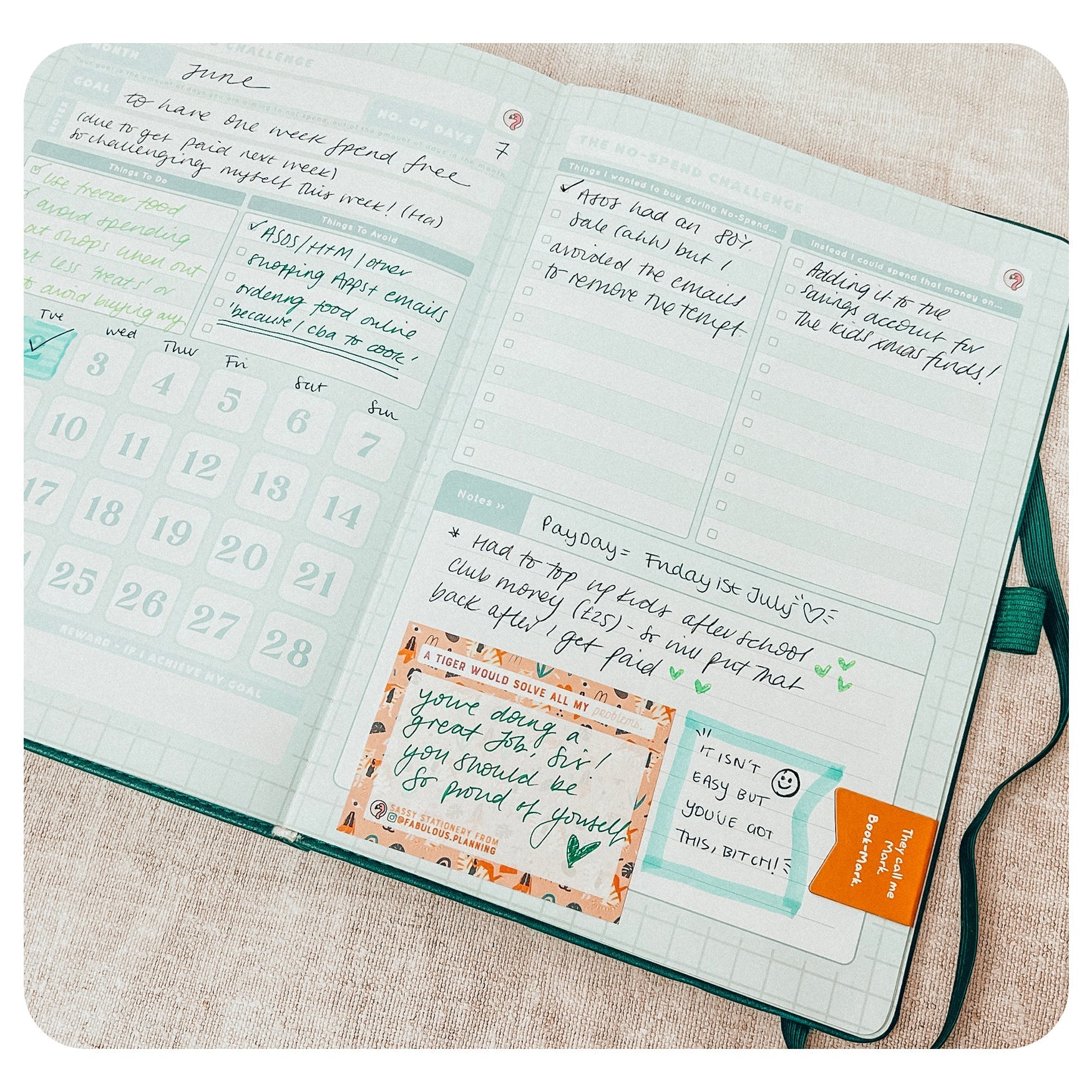 Budget - Deluxe Life Journal