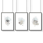 Home Office wall art | set of 3 Coastal Seashells artwork prints