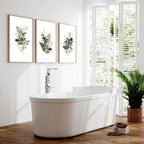 Framed art for bathroom | set of 3 Green Botanical wall art