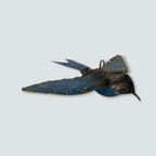 African Metal Garden bird - African - metal