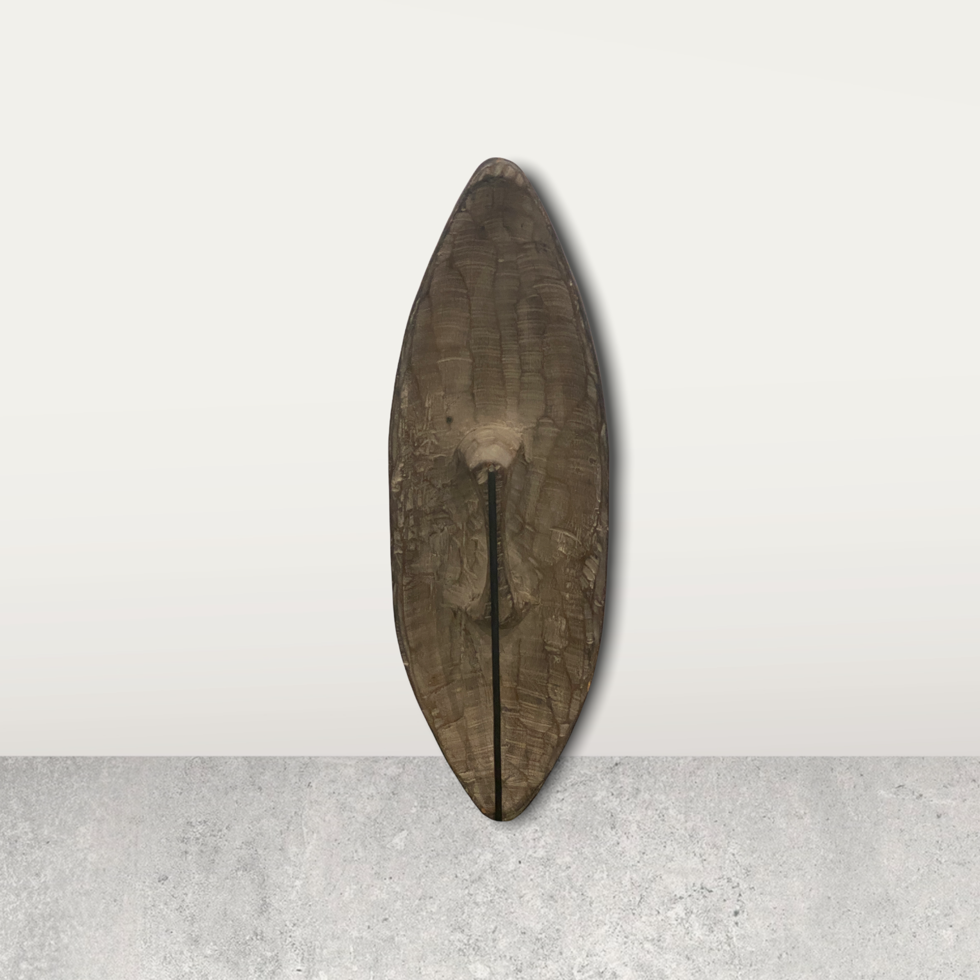 Cameroon Shield