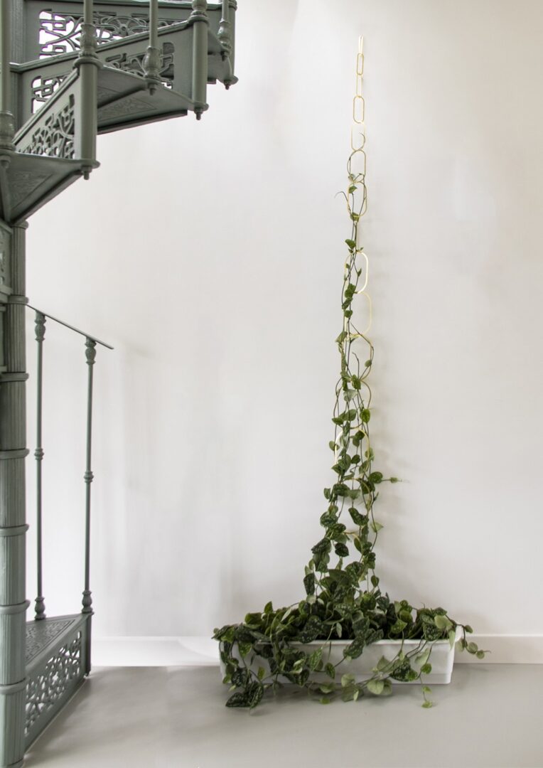 Brass plant climbing chain