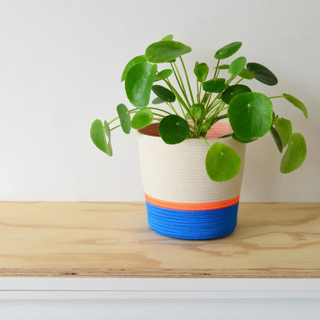 Planter Basket 100% cotton (17.3) Blue