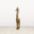 Swazi Giraffe - M