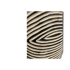 Cameroon Shield Oblong (06)