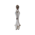 Namji Doll - L 60cm - White (CW03)