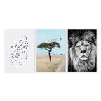 Living Room Wall Art Canvas | Set of 3 African Wildlife Wall art Prints