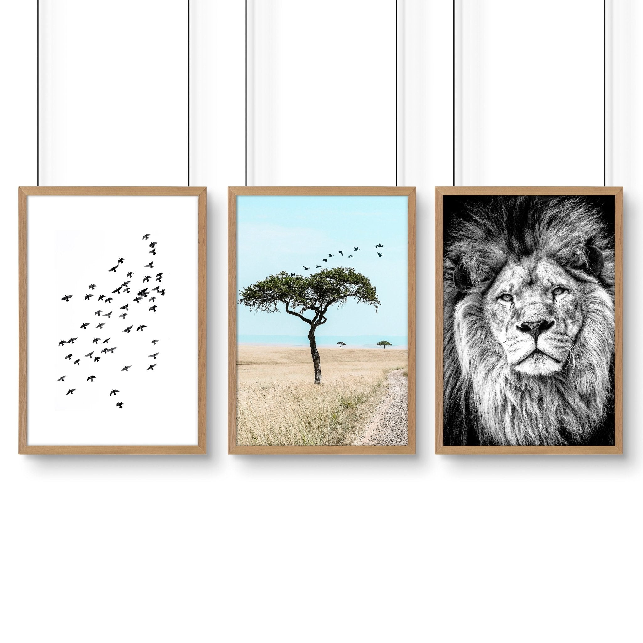 Living Room Wall Art Canvas | Set of 3 African Wildlife Wall art Prints