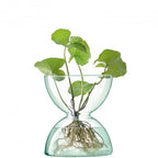 Canopy Vase
