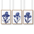 Prints For Bathroom | Set of 3 Botanical Wall art Prints