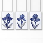 Prints For Bathroom | Set of 3 Botanical Wall art Prints