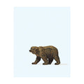 Brown Bear Terrarium Figure 29512
