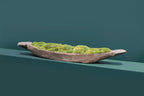 Mokoro Canoe with Preserved Moss Table Display FR63