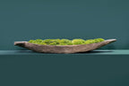 Mokoro Canoe with Preserved Moss Table Display FR63