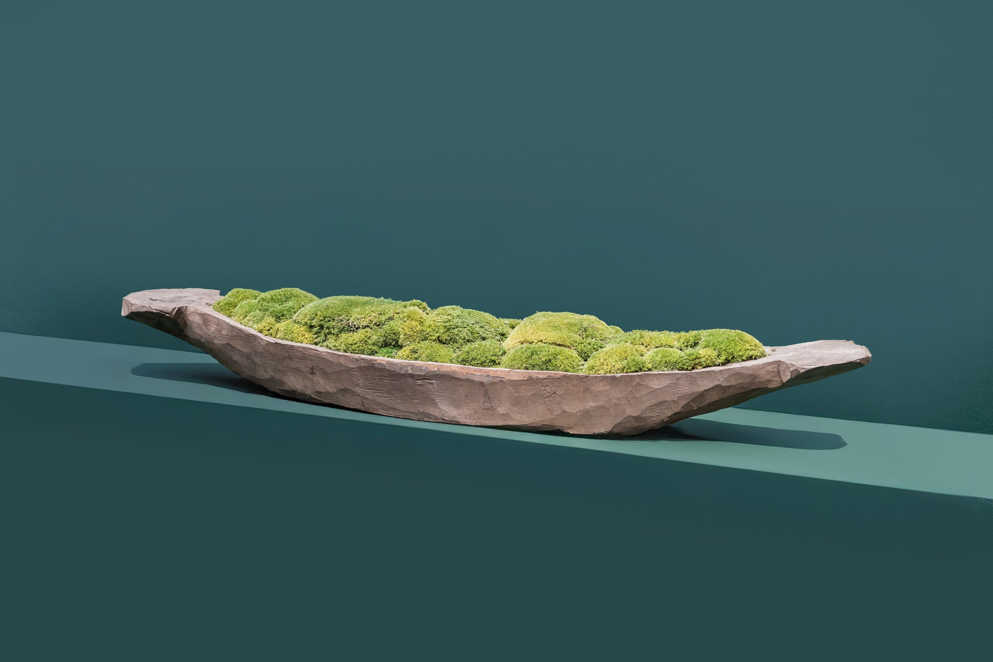 Mokoro Canoe with Preserved Moss Table Display FR60