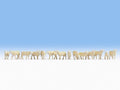Sheep (14) Terrarium Figures - 15749