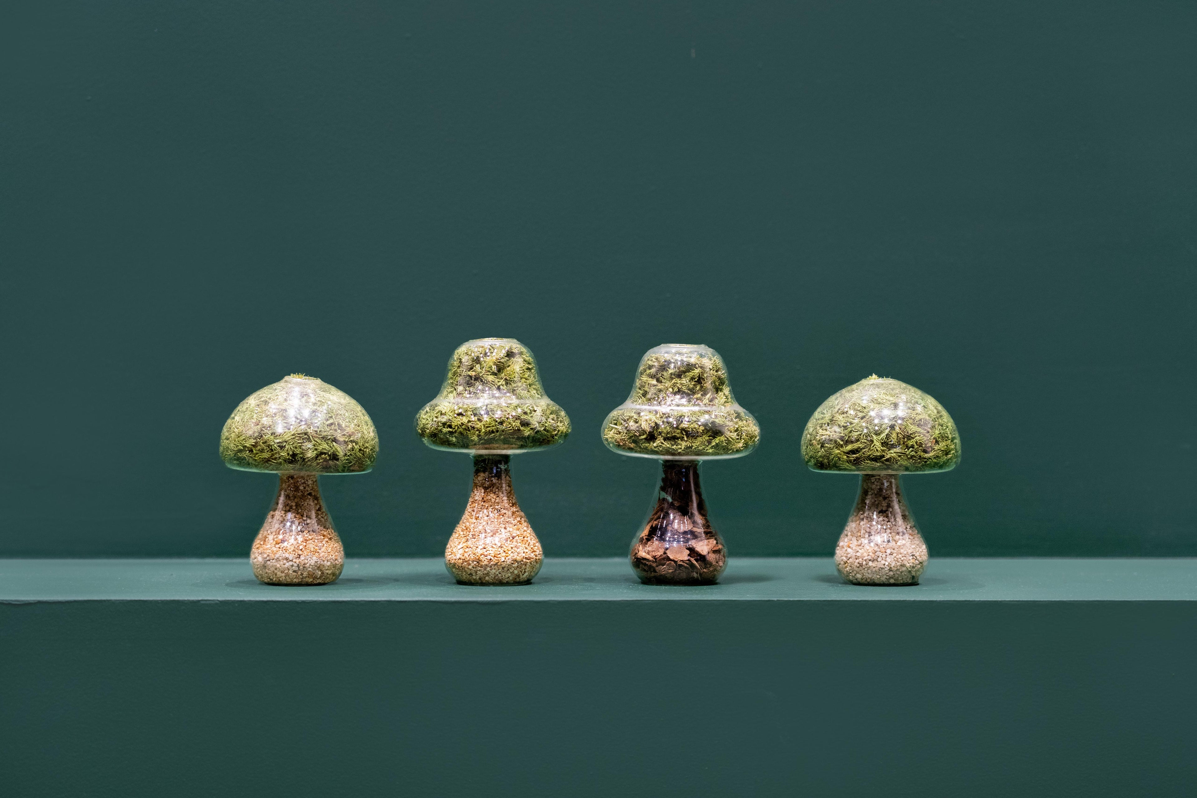 Moss Mushroom - Round - Light Stone