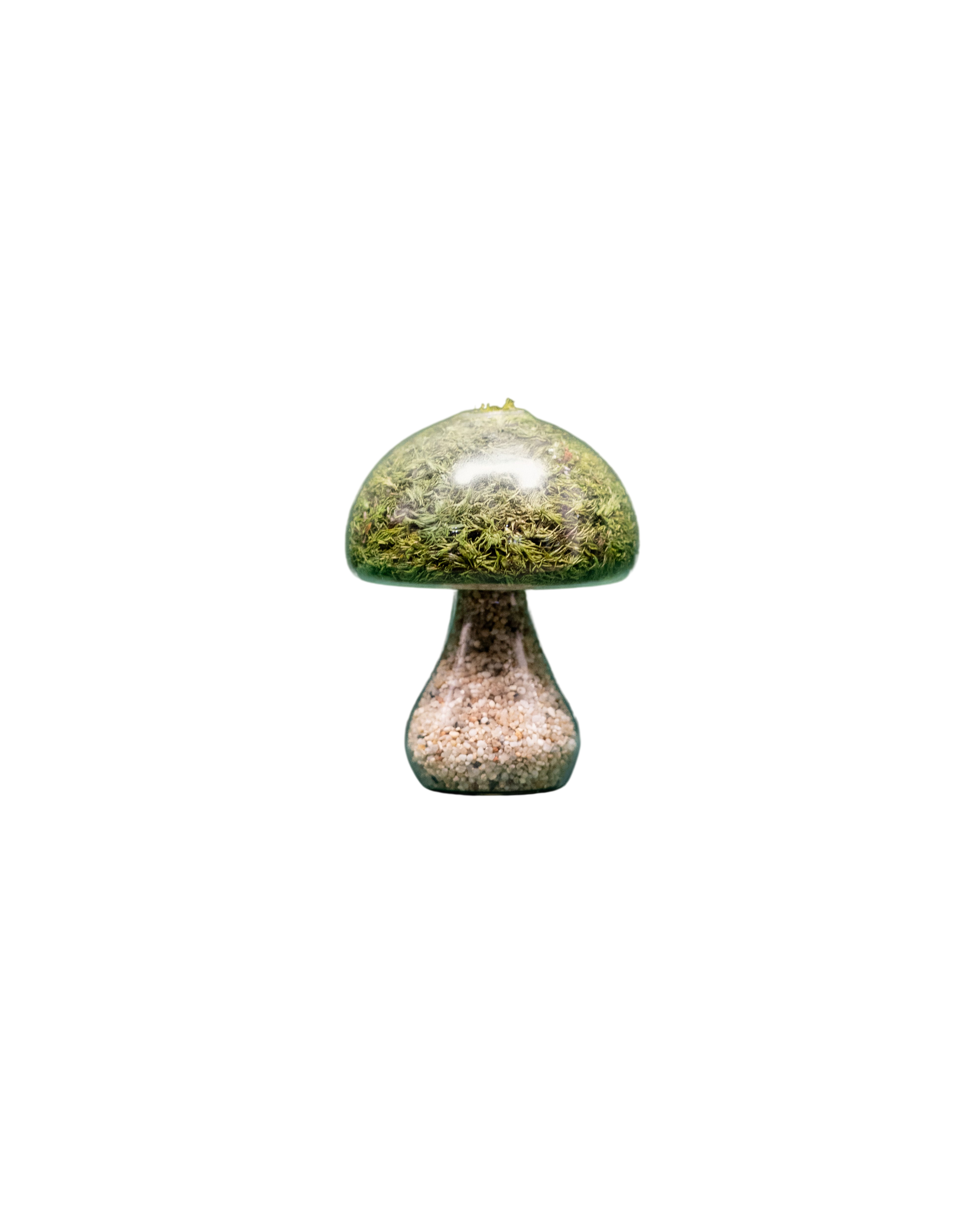 Moss Mushroom - Round - Light Stone