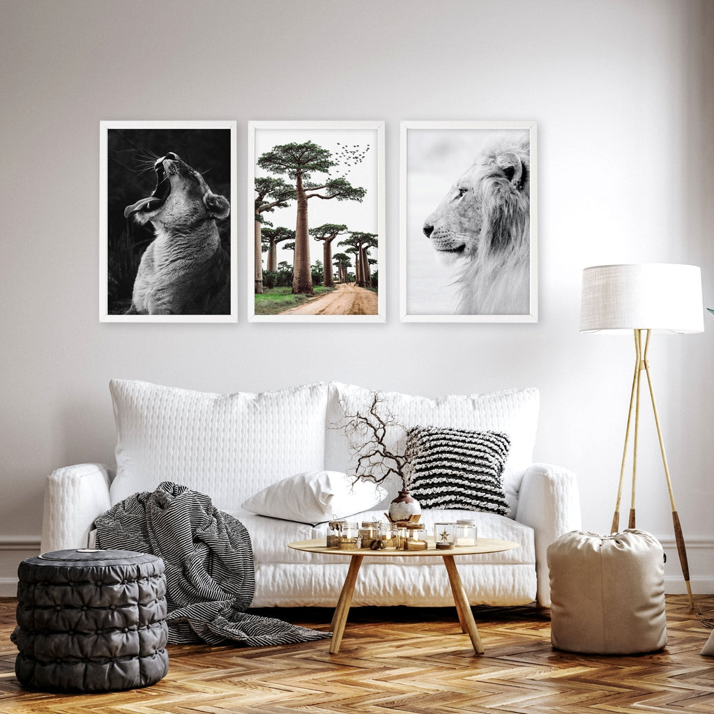 Wall Art For Living Room Canvas | Set of 3 African Wildlife Wall art Prints