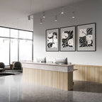 Wall Decoration Large | Set of 3 Botanical Wall art Prints
